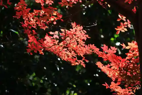 豊景神社の庭園