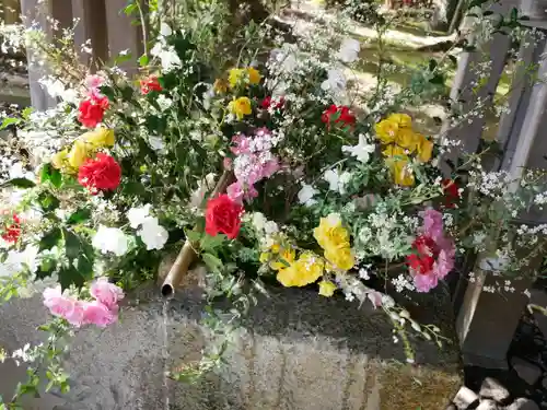 富知六所浅間神社(静岡県)