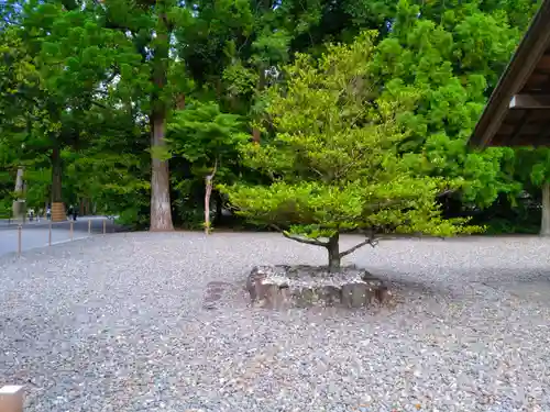 伊勢神宮外宮（豊受大神宮）の建物その他