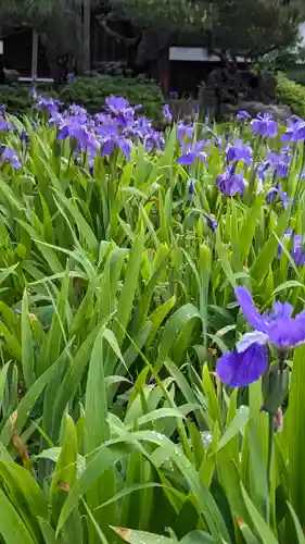 得浄明院（善光寺別院）(京都府)