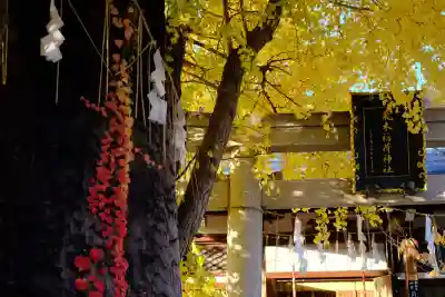 飛木稲荷神社(東京都)