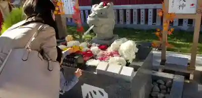 新川皇大神社の手水舎