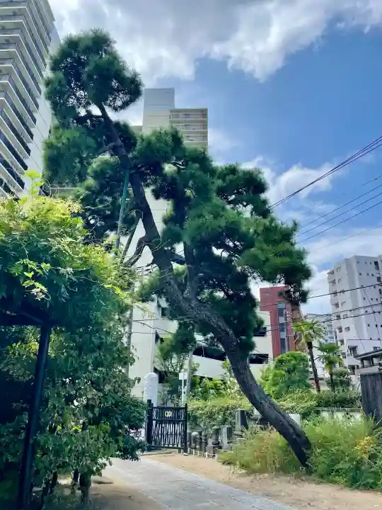 吉祥寺(千葉県)