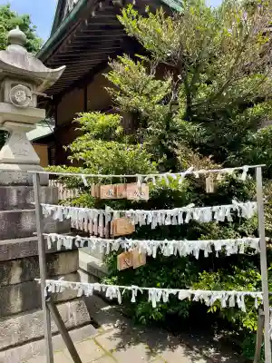 高円寺天祖神社(東京都)
