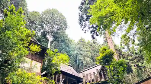 鏡神社(京都府)