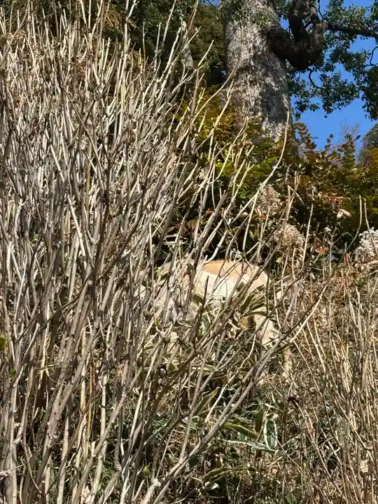 楽法寺(雨引観音)(茨城県)