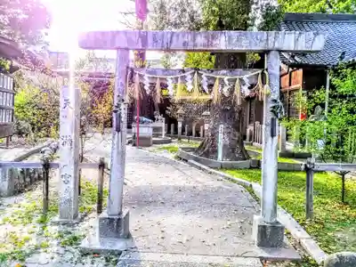 八幡社（松原八幡社）の鳥居