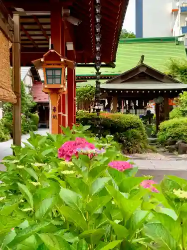 仙台大神宮の庭園