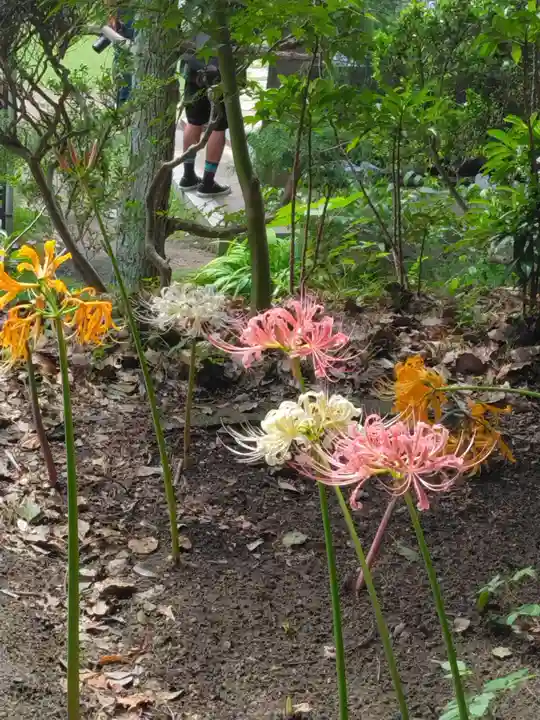 横浜 西方寺(神奈川県)