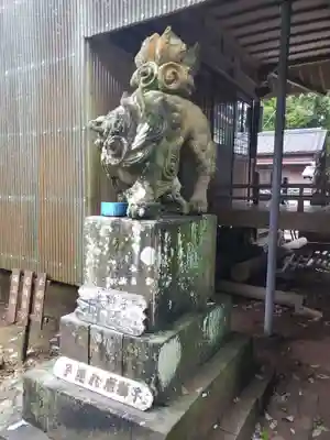 八坂社 (富来神社) の狛犬