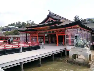 厳島神社の本殿・本堂