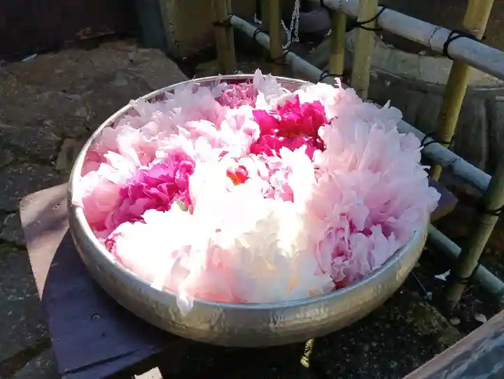 上野東照宮の{uncategorized: "未分類", other: "その他", undefined: "問題あり", building: "その他建物", grave: "お墓", sacred_gate: "鳥居", guardian: "狛犬", statue: "像", buddha: "仏像", history: "歴史", nature: "自然", garden: "庭園", animal: "動物", pagoda: "塔", temizu: "手水舎", mountain_gate: "山門・神門", sanctuary: "本殿・本堂", subordinate: "末社・摂社", art: "芸術", scenery: "景色", jizo: "地蔵", ema: "絵馬", goshuin: "御朱印", omikuji: "おみくじ", items: "授与品その他", amulet: "お守り", goshuincho: "御朱印帳", eats: "食事", festival: "お祭り", votive_dance: "神楽", shichigosan: "七五三参", wedding: "結婚式", experience: "体験その他", initially: "初詣", around: "周辺", anti_infection: "感染症対策"}