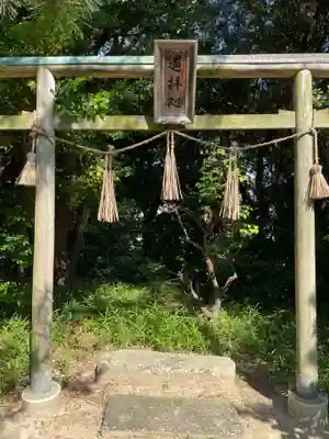 青龍神社(兵庫県)