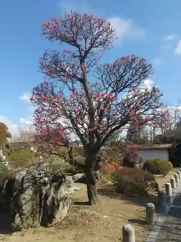 安楽寺(栃木県)