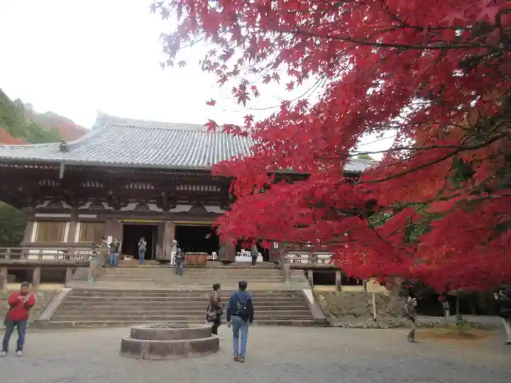 神護寺の本殿・本堂