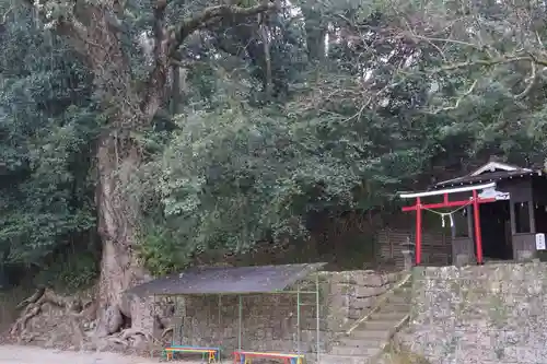 新田神社(鹿児島県)
