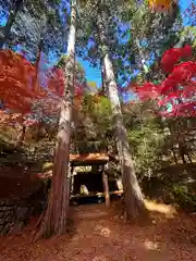 猿丸神社(京都府)