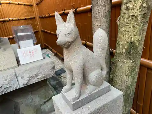 代沢稲荷の狛犬