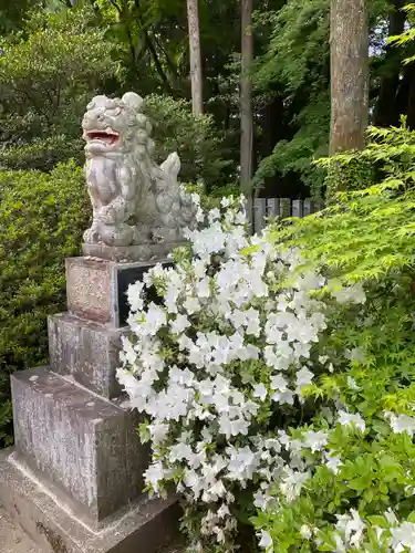 神明社の狛犬