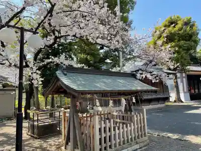 旗岡八幡神社(東京都)