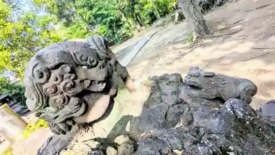 今井神社の狛犬