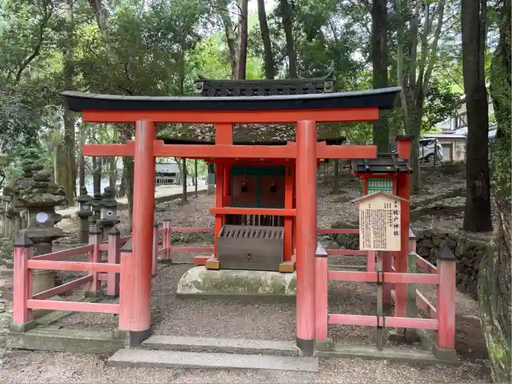 春日大社(奈良県)