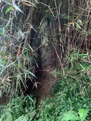 神社(名称不明)の周辺