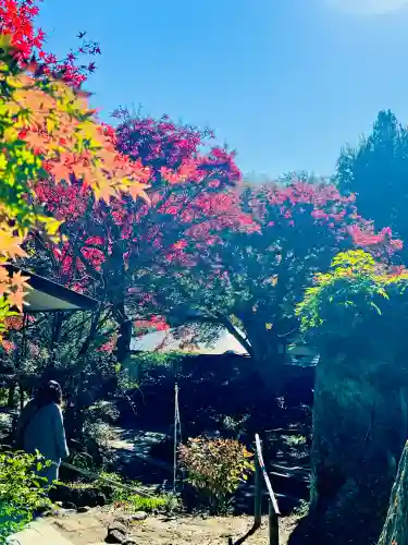 浄智寺(神奈川県)