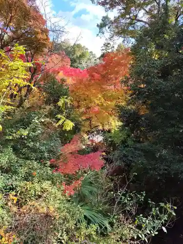 根来寺(和歌山県)