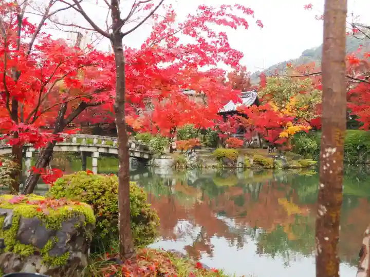 禅林寺(永観堂)(京都府)
