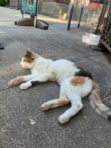 戸越八幡神社(東京都)