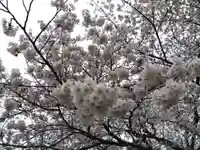 江守神社(福井県)
