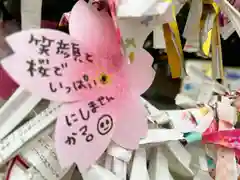 札幌諏訪神社のおみくじ