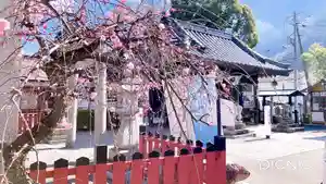 瀧宮神社(広島県)(2025年03月10日(月) 04時54分07秒投稿)