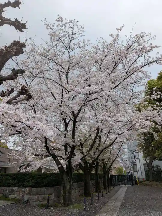 宝仙寺(東京都)