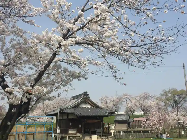 蛇池神社の自然