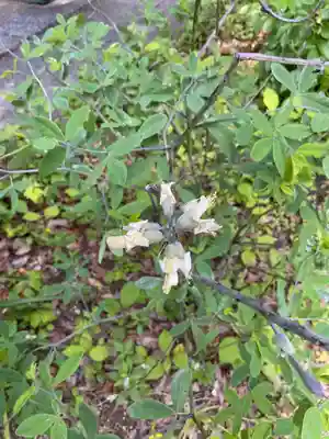 光照寺(愛知県)