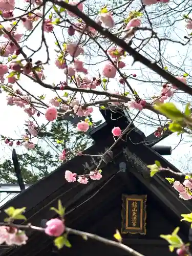 錦山天満宮の{uncategorized: "未分類", other: "その他", undefined: "問題あり", building: "その他建物", grave: "お墓", sacred_gate: "鳥居", guardian: "狛犬", statue: "像", buddha: "仏像", history: "歴史", nature: "自然", garden: "庭園", animal: "動物", pagoda: "塔", temizu: "手水舎", mountain_gate: "山門・神門", sanctuary: "本殿・本堂", subordinate: "末社・摂社", art: "芸術", scenery: "景色", jizo: "地蔵", ema: "絵馬", goshuin: "御朱印", omikuji: "おみくじ", items: "授与品その他", amulet: "お守り", goshuincho: "御朱印帳", eats: "食事", festival: "お祭り", votive_dance: "神楽", shichigosan: "七五三参", wedding: "結婚式", experience: "体験その他", initially: "初詣", around: "周辺", anti_infection: "感染症対策"}