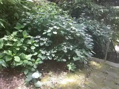 光則寺(神奈川県)