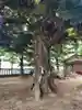 宗道神社(茨城県)
