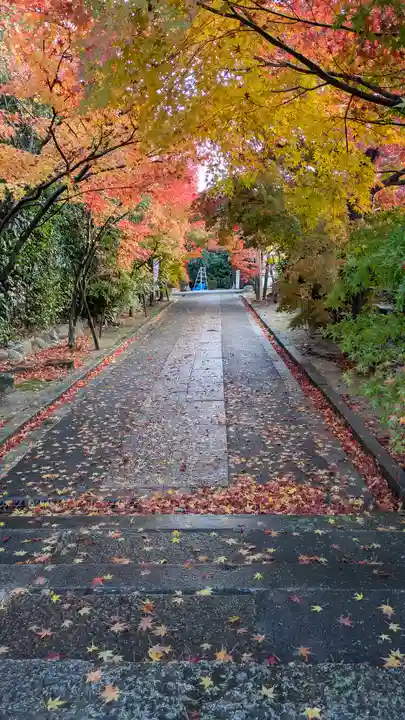 真宗院(京都府)