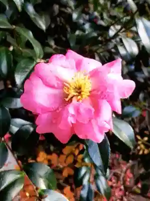 正覚院(東京都)