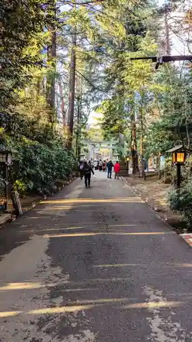 岩槻久伊豆神社の自然