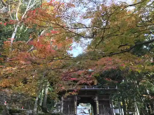 大窪寺の山門