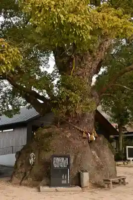糸碕神社(広島県)