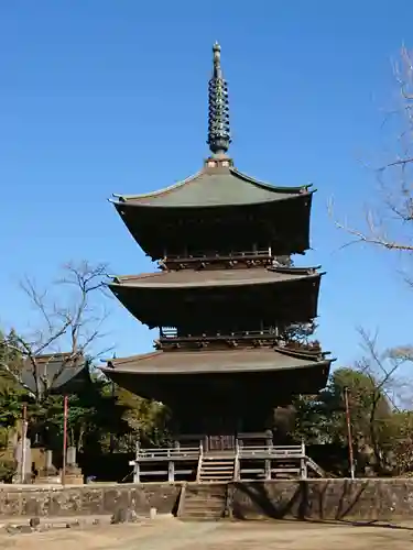 芝山仁王尊 観音教寺の塔