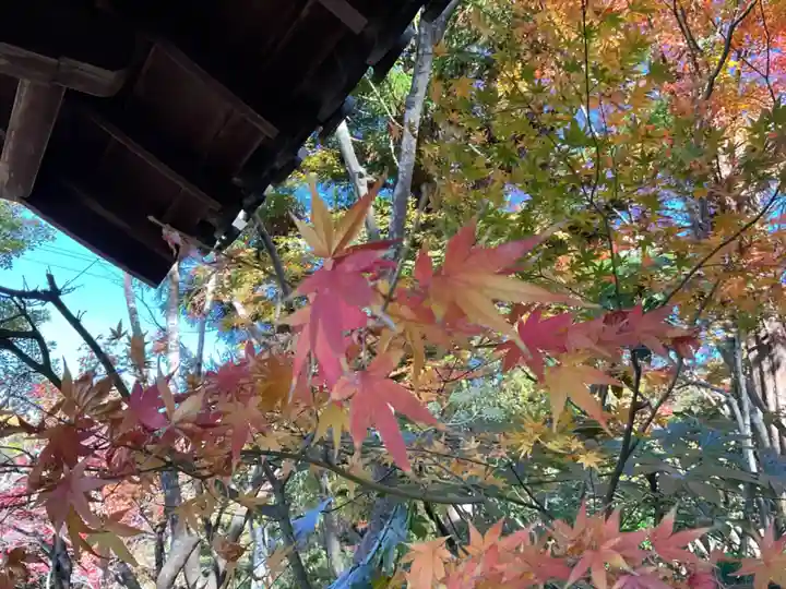 龍潭寺(滋賀県)