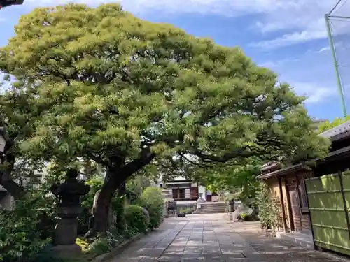 大円寺のその他建物