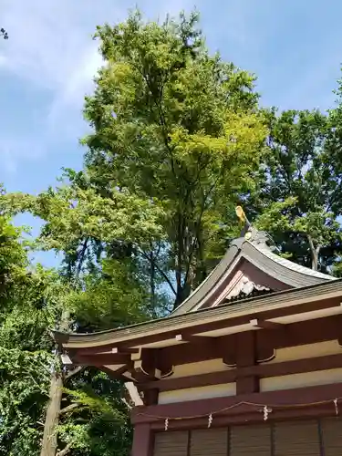 諏訪神社の本殿・本堂