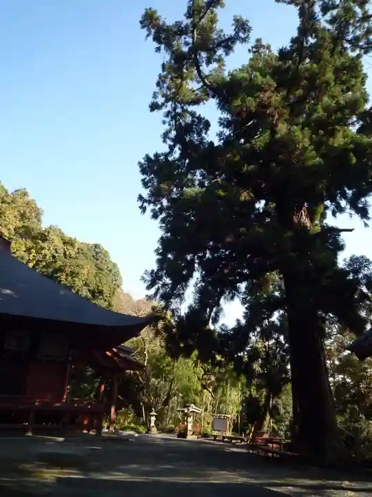 宝樹院小山寺のその他建物